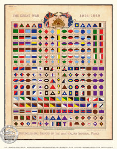 istinguishing badges of the AIF