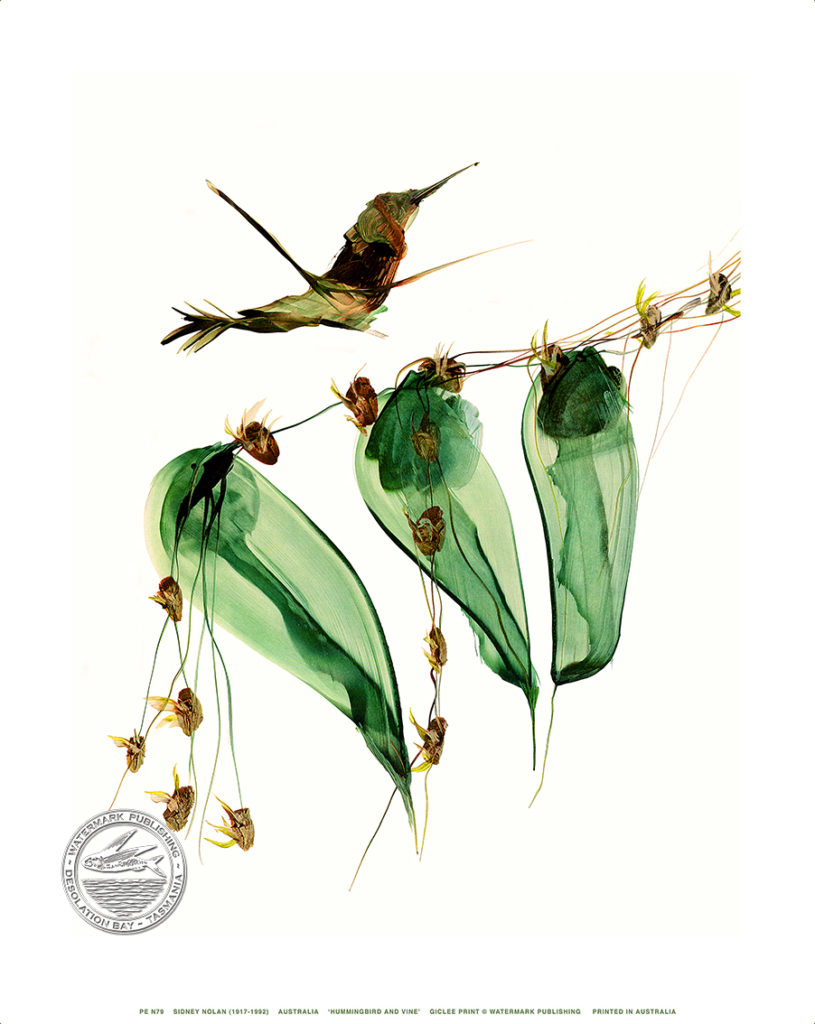 hummingbird and vine